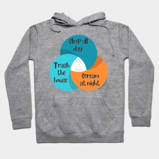 Venn Diagram Cat Sleep all day Trash the house Scream at night Hoodie